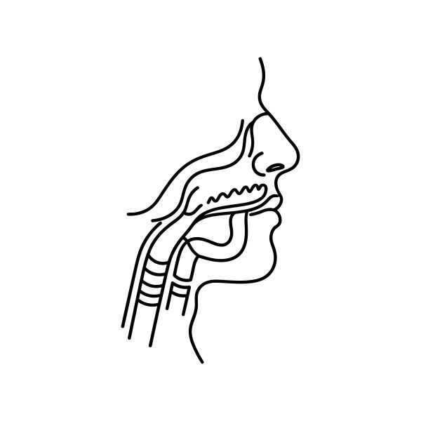 Brio Dental Is The Local Experts For Airway Dentistry In Portland Or